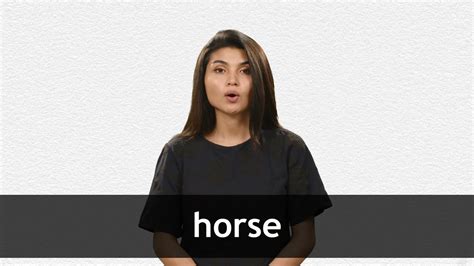 How to pronounce EQUINE in English .